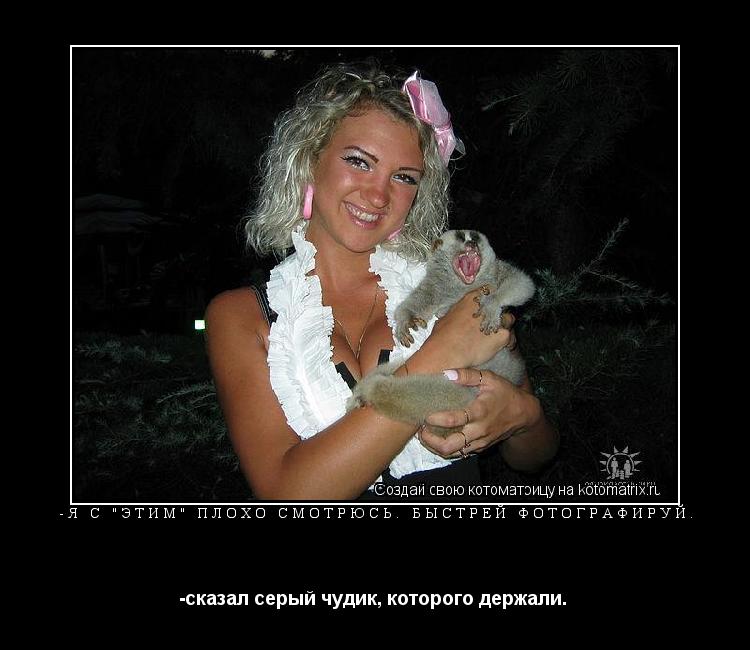 -я с "этим" плохо смотрюсь. быстрей фотографируй. -сказал серый чудик, которого держали. ... Котоматрица: -я с "этим" плохо смотрюсь. быстрей фотографируй. -сказал серый чудик, которого держали.