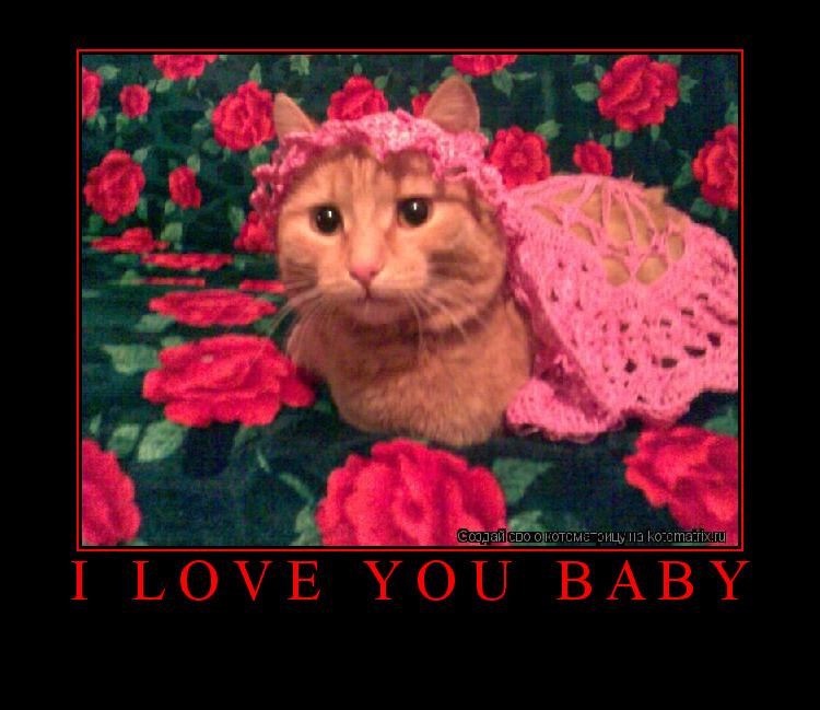Котоматрица: I LOVE YOU BABY      