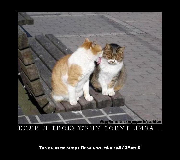 Если и твою жену зовут Лиза... Так если её зовут Лиза она тебя заЛИЗАнёт!!!... Котоматрица: Если и твою жену зовут Лиза... Так если её зовут Лиза она тебя заЛИЗАнёт!!!