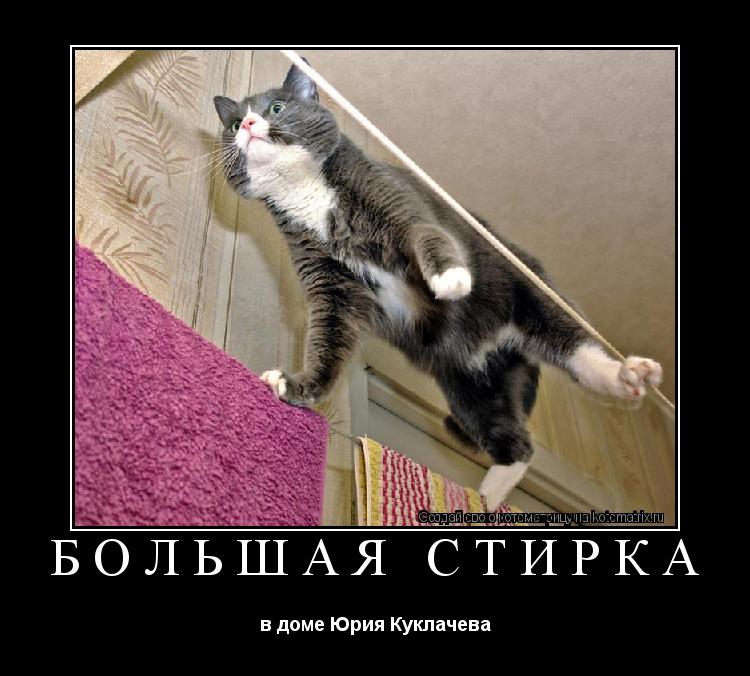 Котоматрица: БОЛЬШАЯ СТИРКА в доме Юрия Куклачева