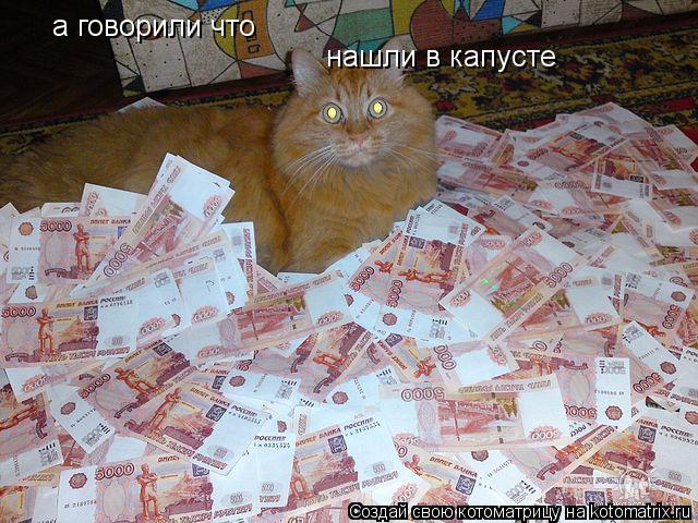 а говорили что а говорили что нашли в капусте... Котоматрица: а говорили что а говорили что нашли в капусте