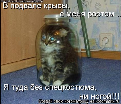 В подвале крысы, с меня ростом... Я туда без спецкостюма, ни ногой!!!... Котоматрица: В подвале крысы, с меня ростом... Я туда без спецкостюма, ни ногой!!!