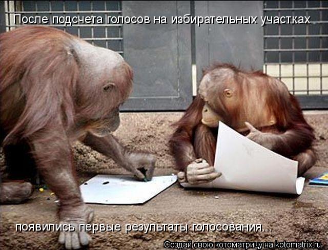 После подсчета голосов на избирательных участках появились первые результаты голосования...... Котоматрица: После подсчета голосов на избирательных участках появились первые результаты голосования...