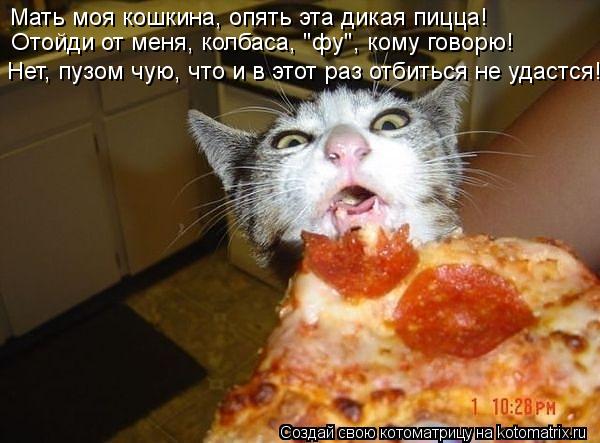Мать моя кошкина, опять эта дикая пицца! Отойди от меня, колбаса, "фу", кому говорю! Нет, пузом чую, ... Котоматрица: Мать моя кошкина, опять эта дикая пицца! Отойди от меня, колбаса, "фу", кому говорю! Нет, пузом чую, что и в этот раз отбиться не удастся!