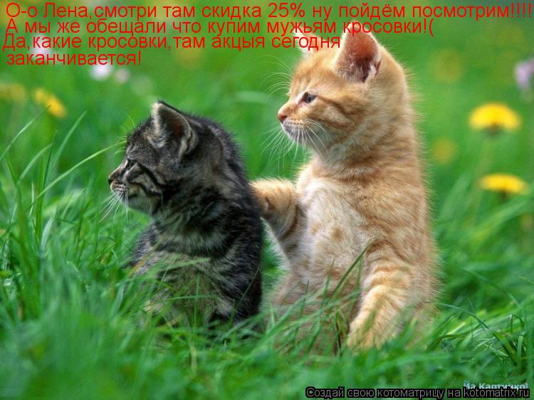 О-о Лена,смотри там скидка 25% ну пойдём посмотрим!!!!??? А мы же обещали что купим мужьям кросовки!(... Котоматрица: О-о Лена,смотри там скидка 25% ну пойдём посмотрим!!!!??? А мы же обещали что купим мужьям кросовки!( Да,какие кросовки,там акцыя сегодня заканчи