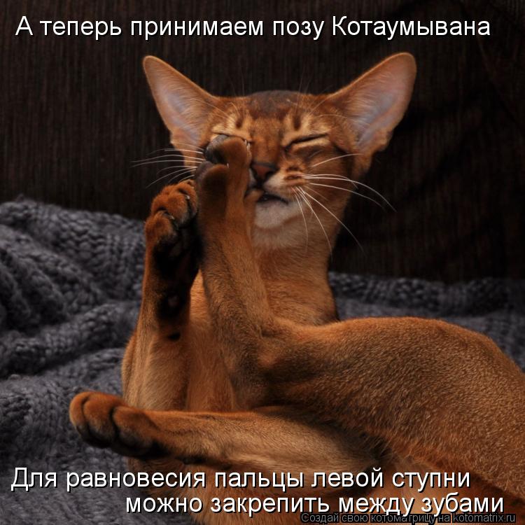 А теперь принимаем позу Котаумывана Для равновесия пальцы левой ступни можно закрепить между зубами... Котоматрица: А теперь принимаем позу Котаумывана Для равновесия пальцы левой ступни можно закрепить между зубами