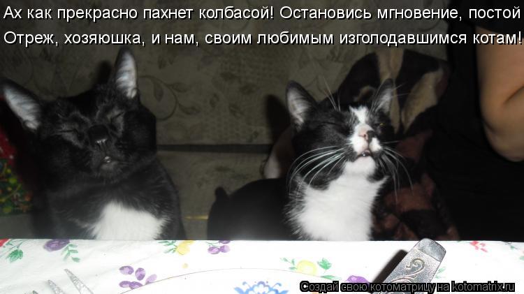 Ах как прекрасно пахнет колбасой! Остановись мгновение, постой Отреж, хозяюшка, и нам, своим любимым ... Котоматрица: Ах как прекрасно пахнет колбасой! Остановись мгновение, постой Отреж, хозяюшка, и нам, своим любимым изголодавшимся котам!