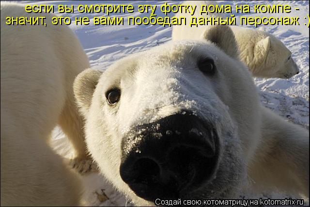 если вы смотрите эту фотку дома на компе - значит, это не вами пообедал данный персонаж :)... Котоматрица: если вы смотрите эту фотку дома на компе - значит, это не вами пообедал данный персонаж :)