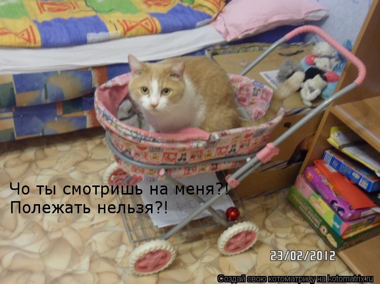 Чо ты смотришь на меня?! Полежать нельзя?!... Котоматрица: Чо ты смотришь на меня?! Полежать нельзя?!