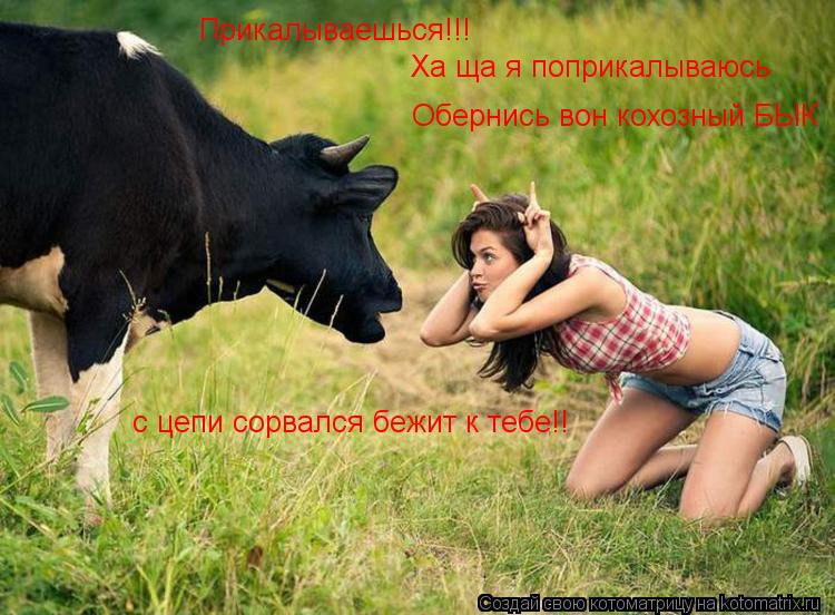 Прикалываешься!!! Ха ща я поприкалываюсь Обернись вон кохозный БЫК с цепи сорвался бежит к тебе!!... Котоматрица: Прикалываешься!!! Ха ща я поприкалываюсь Обернись вон кохозный БЫК с цепи сорвался бежит к тебе!!