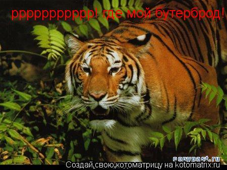 ррррррррррр! где мой бутерброд!... Котоматрица: ррррррррррр! где мой бутерброд!