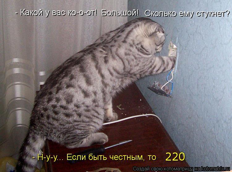 - Какой у вас ко-о-от! Большой! Сколько ему стукнет? - Н-у-у... Если быть честным, то 220... Котоматрица: - Какой у вас ко-о-от! Большой! Сколько ему стукнет? - Н-у-у... Если быть честным, то 220