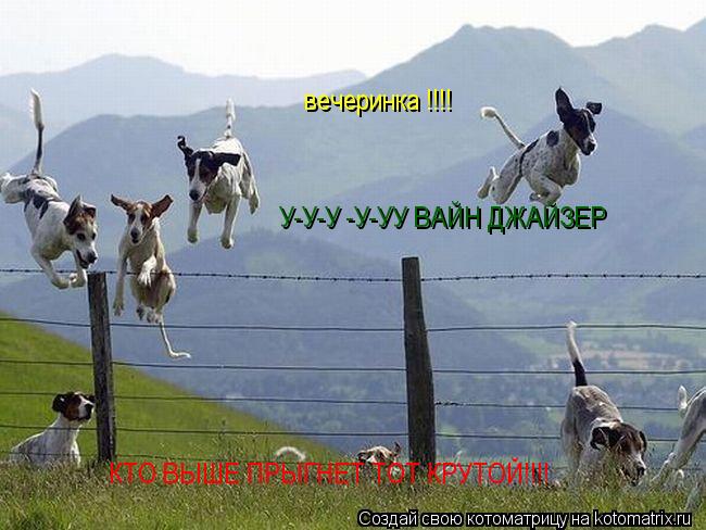 вечеринка !!!! У-У-У -У-УУ ВАЙН ДЖАЙЗЕР КТО ВЫШЕ ПРЫГНЕТ ТОТ КРУТОЙ!!!!... Котоматрица: вечеринка !!!! У-У-У -У-УУ ВАЙН ДЖАЙЗЕР КТО ВЫШЕ ПРЫГНЕТ ТОТ КРУТОЙ!!!!