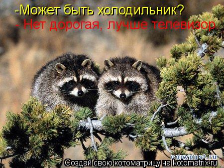 -Может быть холодильник? - Нет дорогая, лучше телевизор.... Котоматрица: -Может быть холодильник? - Нет дорогая, лучше телевизор.