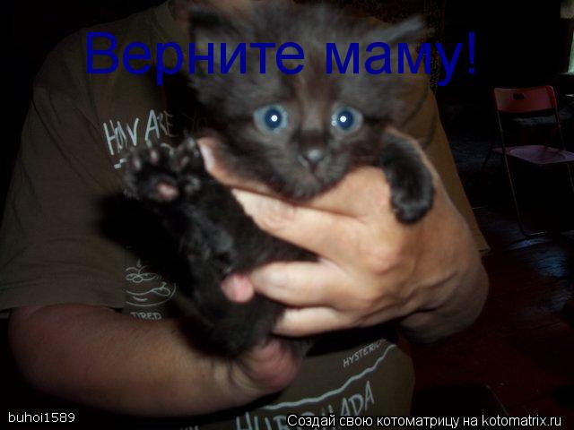 Верните маму!... Котоматрица: Верните маму!