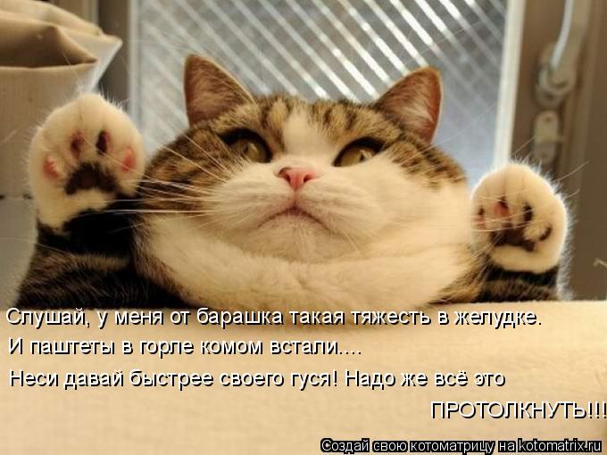 Слушай, у меня от барашка такая тяжесть в желудке. И паштеты в горле комом встали.... Неси давай быст... Котоматрица: Слушай, у меня от барашка такая тяжесть в желудке. И паштеты в горле комом встали.... Неси давай быстрее своего гуся! Надо же всё это ПРОТОЛКНУ