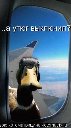 ..а утюг выключил?... Котоматрица: ..а утюг выключил?