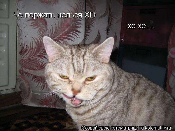 Чё поржать нельзя XD хе хе ...... Котоматрица: Чё поржать нельзя XD хе хе ...