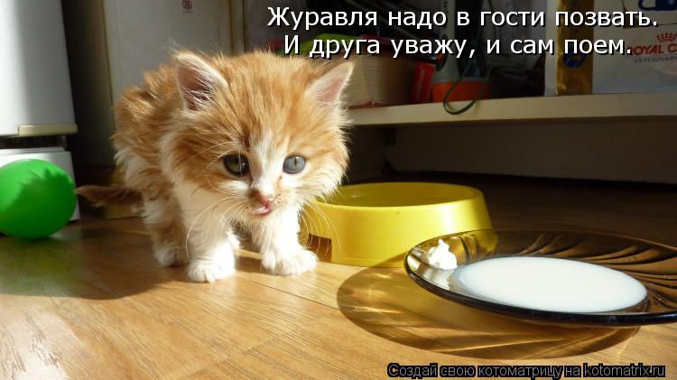 Журавля надо в гости позвать. И друга уважу, и сам поем.... Котоматрица: Журавля надо в гости позвать. И друга уважу, и сам поем.