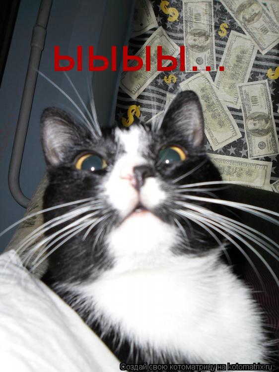 ыыыы...... Котоматрица: ыыыы...