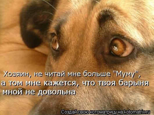 Котоматрица: а том мне кажется, что твоя барыня мной не довольна Хозяин, не читай мне больше "Муму",
