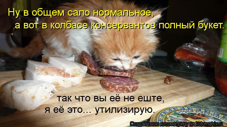 Котоматрица: Ну в общем сало нормальное,  а вот в колбасе консервантов полный букет. так что вы её не еште, я её это... утилизирую.