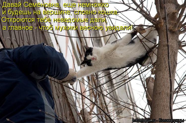 Давай Семёновна, еще немножко и будешь на вершине, словно кошка. Откроются тебе неведомые дали, ... Котоматрица: Давай Семёновна, еще немножко и будешь на вершине, словно кошка. Откроются тебе неведомые дали, а главное - чтоб мужики весною увидали!