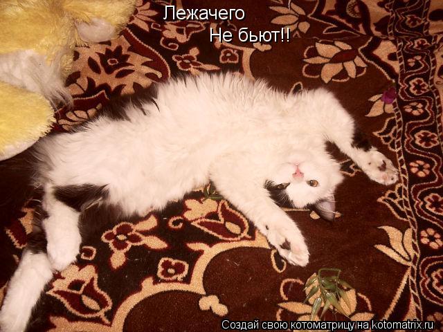 Котоматрица: Лежачего  Не бьют!!