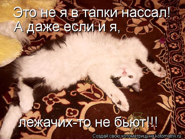 Котоматрица: Это не я в тапки нассал! А даже если и я, лежачих-то не бьют!!!