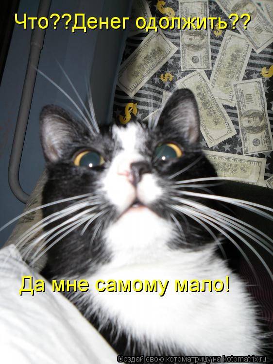 Что??Денег одолжить?? Да мне самому мало!... Котоматрица: Что??Денег одолжить?? Да мне самому мало!