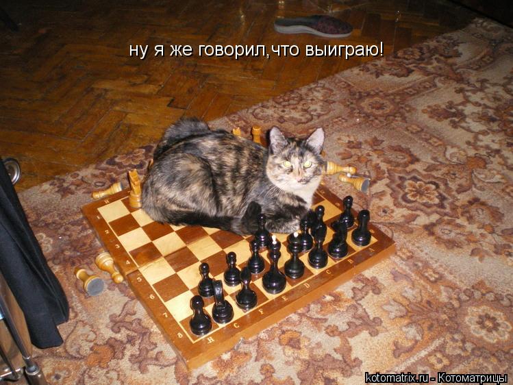 ну я же говорил,что выиграю!... Котоматрица: ну я же говорил,что выиграю!