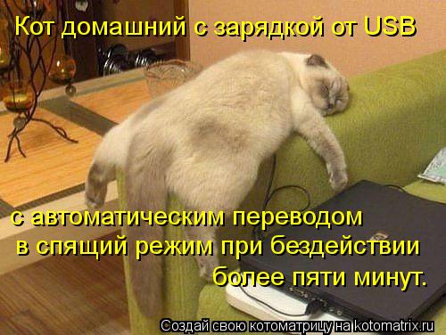 Кот домашний с зарядкой от USB с автоматическим переводом в спящий режим при бездействии более пяти ... Котоматрица: Кот домашний с зарядкой от USB с автоматическим переводом в спящий режим при бездействии более пяти минут.