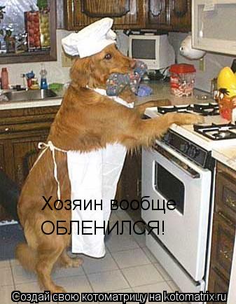 Хозяин вообще ОБЛЕНИЛСЯ!... Котоматрица: Хозяин вообще ОБЛЕНИЛСЯ!
