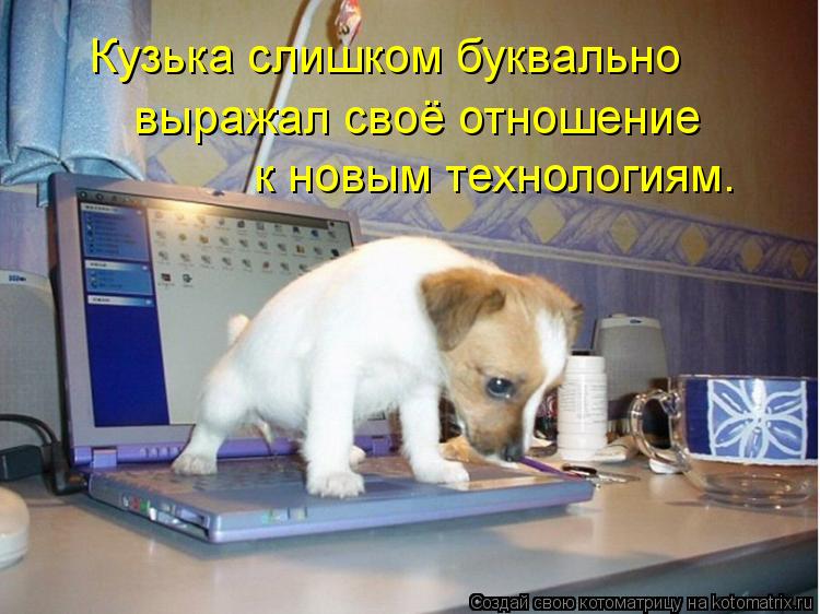 Кузька слишком буквально выражал своё отношение к новым технологиям.... Котоматрица: Кузька слишком буквально выражал своё отношение к новым технологиям.