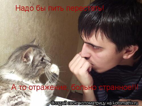 Надо бы пить перестать! А то отражение, больно странное!!!... Котоматрица: Надо бы пить перестать! А то отражение, больно странное!!!