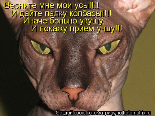 Верните мне мои усы!!!! И дайте палку колбасы!!!! Иначе больно укушу, И покажу прием у-шу!!!... Котоматрица: Верните мне мои усы!!!! И дайте палку колбасы!!!! Иначе больно укушу, И покажу прием у-шу!!!