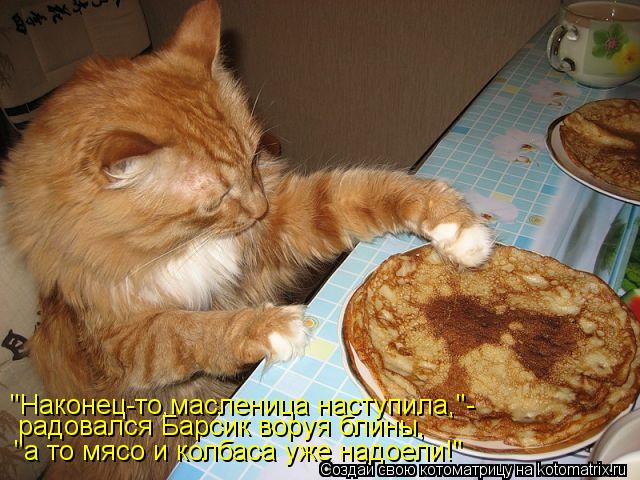 "Наконец-то,масленица наступила,"- радовался Барсик воруя блины, "а то мясо и колбаса уже надоели!"... Котоматрица: "Наконец-то,масленица наступила,"- радовался Барсик воруя блины, "а то мясо и колбаса уже надоели!"