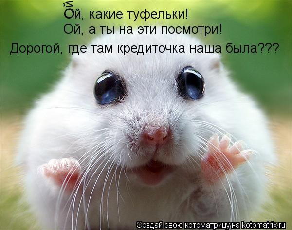 Ой, какие туфельки! Ой, какие туфельки! Ой, а ты на эти посмотри! Дорогой, где там кредиточка наша бы... Котоматрица: Ой, какие туфельки! Ой, какие туфельки! Ой, а ты на эти посмотри! Дорогой, где там кредиточка наша была???