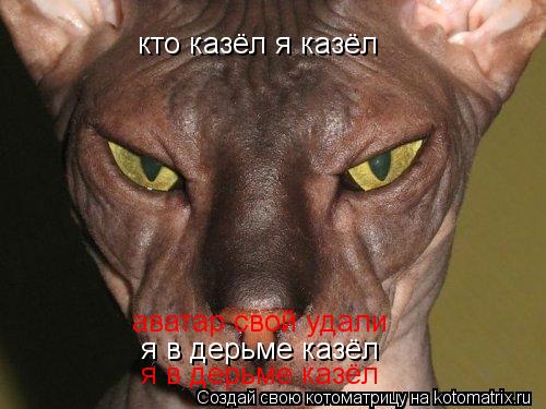 кто казёл я казёл я в дерьме казёл я в дерьме казёл аватар свой удали... Котоматрица: кто казёл я казёл я в дерьме казёл я в дерьме казёл аватар свой удали