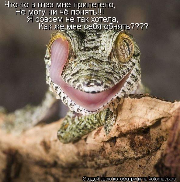 Что-то в глаз мне прилетело, Не могу ни чё понять!!! Я совсем не так хотела, Как же мне себя обнять??... Котоматрица: Что-то в глаз мне прилетело, Не могу ни чё понять!!! Я совсем не так хотела, Как же мне себя обнять????