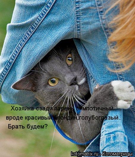 Хозяйка сзади парень симпотичный вроде красивый,блондин,голубоглазый . Брать будем?... Котоматрица: Хозяйка сзади парень симпотичный вроде красивый,блондин,голубоглазый . Брать будем?