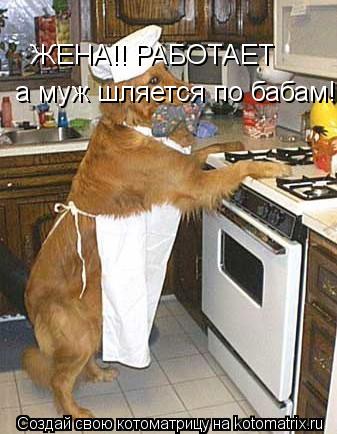 ЖЕНА!! РАБОТАЕТ а муж шляется по бабам!!!... Котоматрица: ЖЕНА!! РАБОТАЕТ а муж шляется по бабам!!!