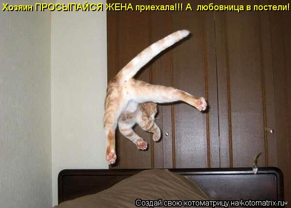 Хозяин ПРОСЫПАЙСЯ ЖЕНА приехала!!! А любовница в постели!... Котоматрица: Хозяин ПРОСЫПАЙСЯ ЖЕНА приехала!!! А любовница в постели!