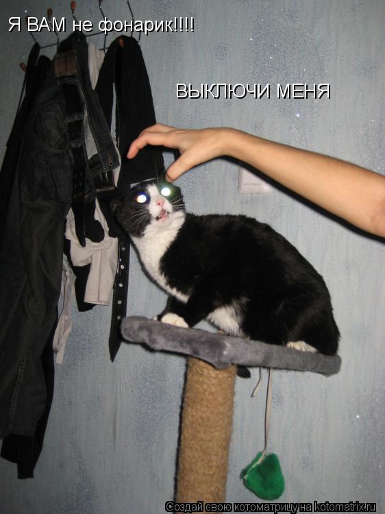 ВЫКЛЮЧИ МЕНЯ Я ВАМ не фонарик!!!!... Котоматрица: ВЫКЛЮЧИ МЕНЯ Я ВАМ не фонарик!!!!