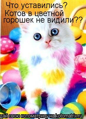 Что уставились? Котов в цветной горошек не видили??... Котоматрица: Что уставились? Котов в цветной горошек не видили??