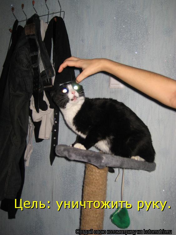 Цель: уничтожить руку.... Котоматрица: Цель: уничтожить руку.