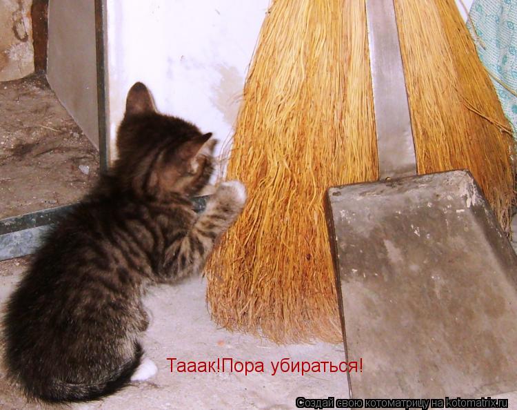 Тааак!Пора убираться!... Котоматрица: Тааак!Пора убираться!