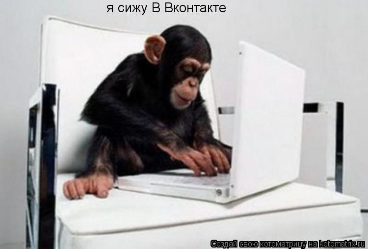 я сижу В Вконтакте... Котоматрица: я сижу В Вконтакте
