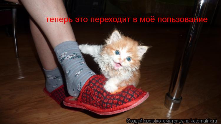 теперь это переходит в моё пользование... Котоматрица: теперь это переходит в моё пользование