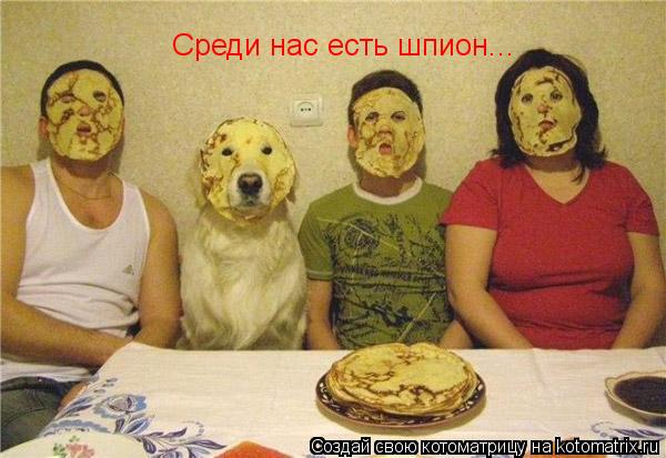 Среди нас есть шпион...... Котоматрица: Среди нас есть шпион...